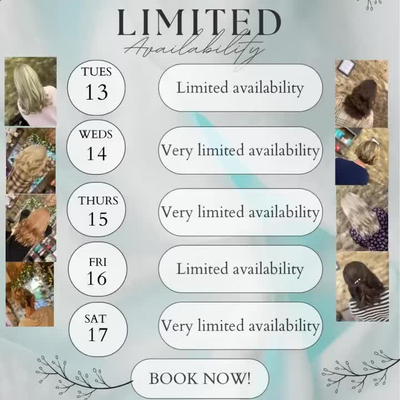  L I M I T E D A V A I L A B I L I T Y https://hairbyelliec.co.uk/ #winterhairgoals #fallhairinspo #winterhair #booknow #yeovilsalon #luxurysalon #hairatist #haircolourspecialist #hairstylist #smallbusinesssupportingsmallbusiness #businesswoman #coulorspecialist #fyp
